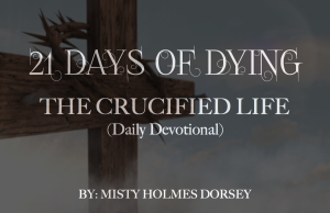 21 Days of Dying Logo